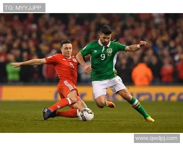 葡萄牙与立陶宛比赛前瞻分析及胜负预测详解 葡萄牙与立陶宛比赛前瞻分析及胜负预测详解