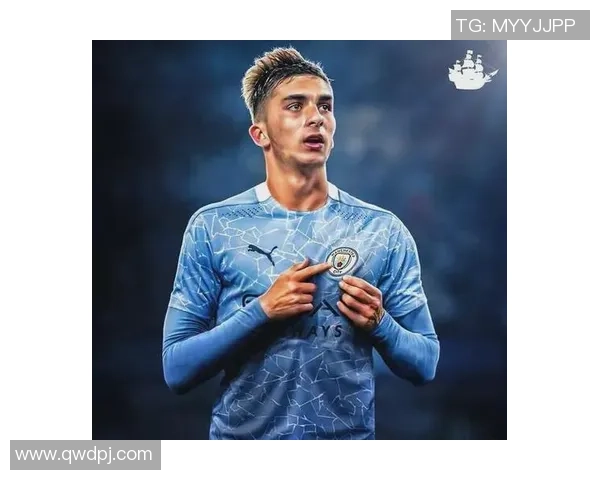 费兰托雷斯：从新星崛起到足球舞台的闪耀之星