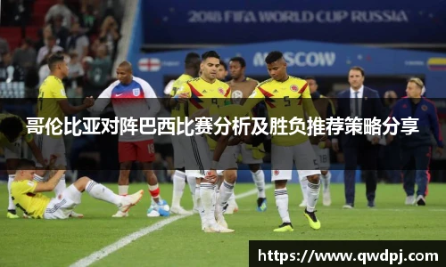 九洲国际网官网