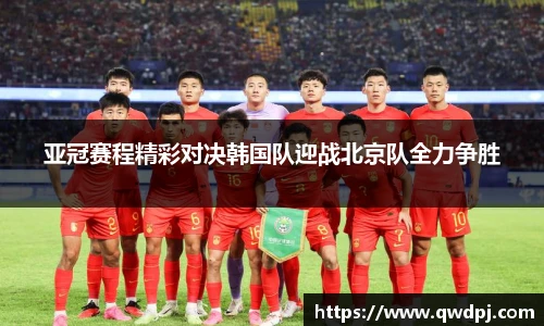 九洲国际网官网